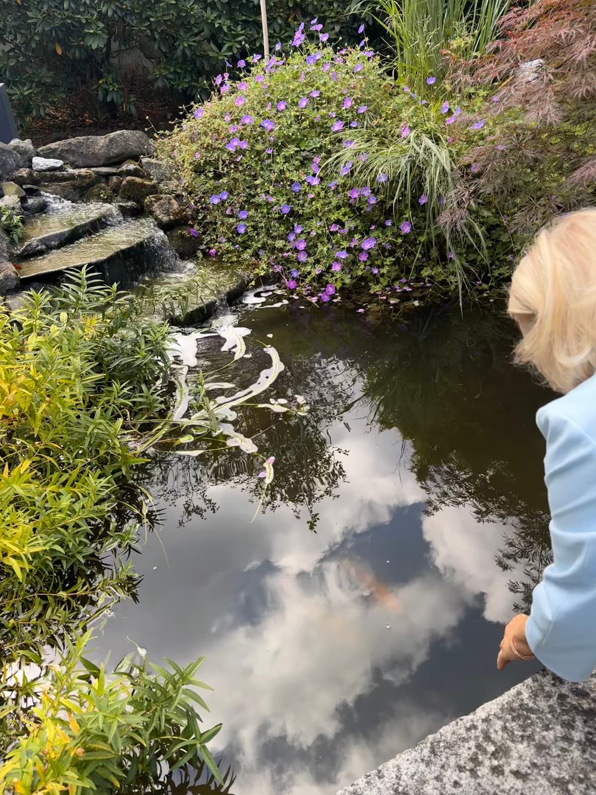 Teich mit Koi, Wasserfall und blühendem Storchschnabel