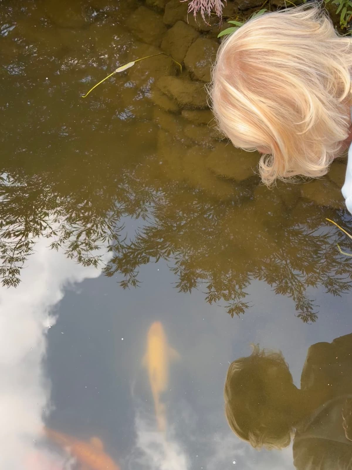 Annette Meyer blickt auf die Spiegelung von Himmel und Koi in einem Teich