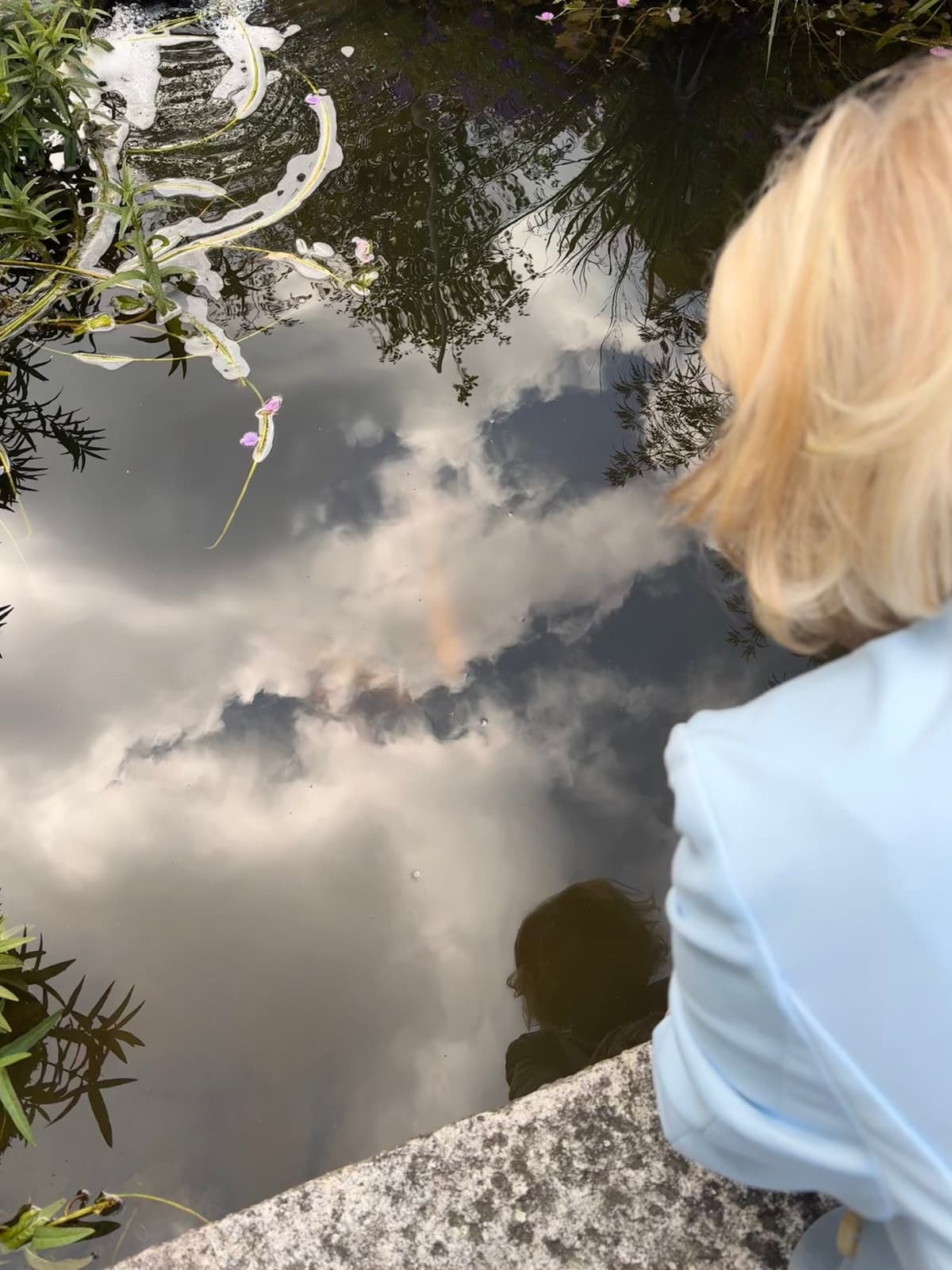 Spiegelung von Himmel und Wolken in einem Teich in Münster